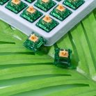 Gateron Beer Switch – Prémium Tactile Mechanikus switch szett (35db)